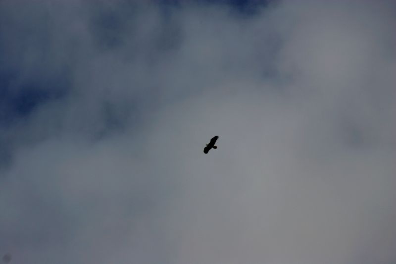 070404 Hope Hatcher Montana Creek (10191)